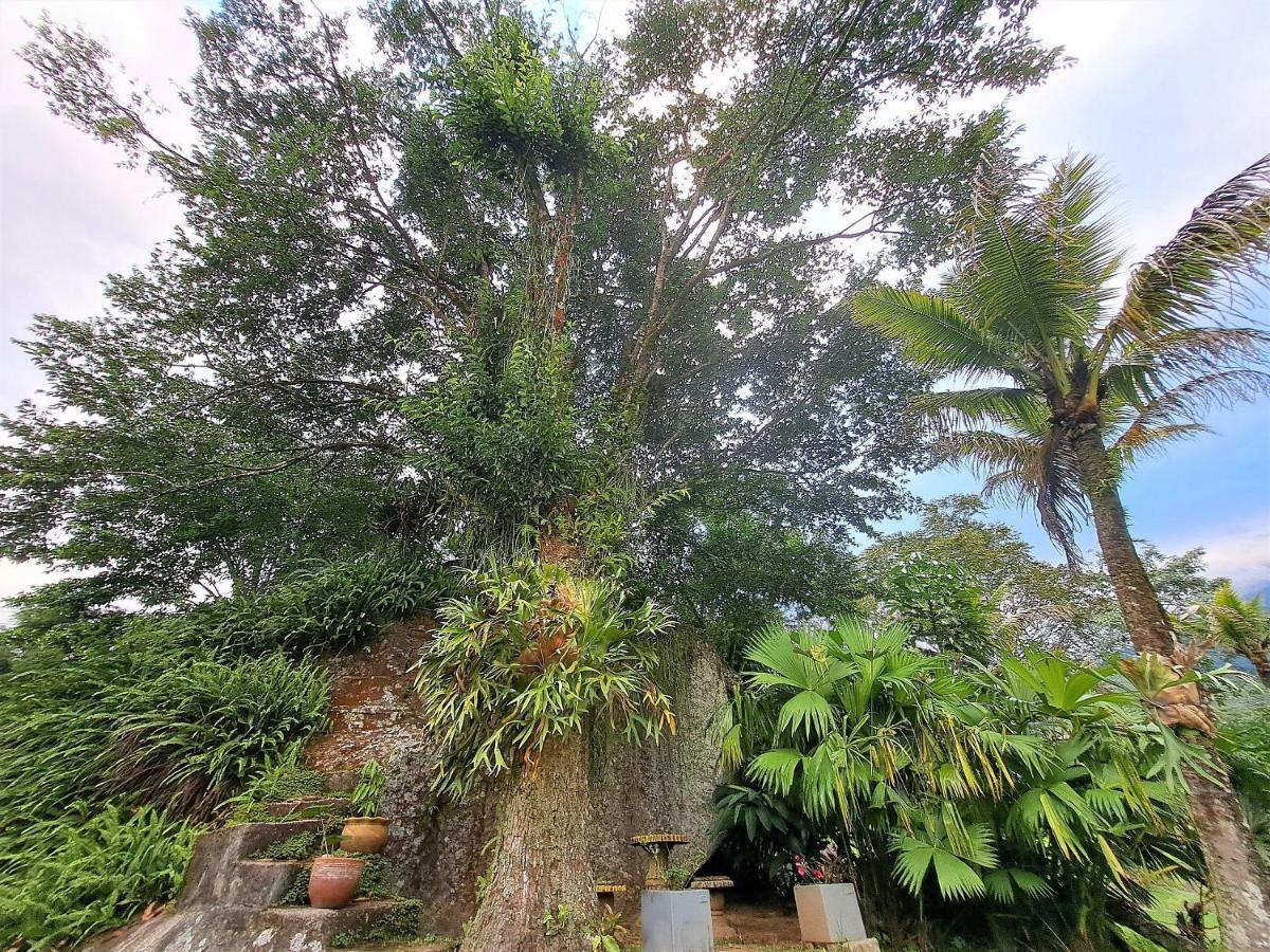 Paradisiaco, Piscina E Churrasqueira Em Guapimirim Exterior foto